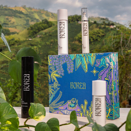 Rutina de Skincare Botánica